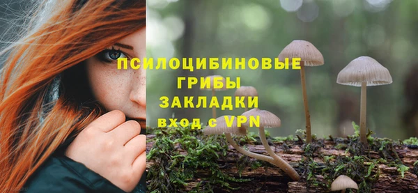 эйфоретик Арсеньев